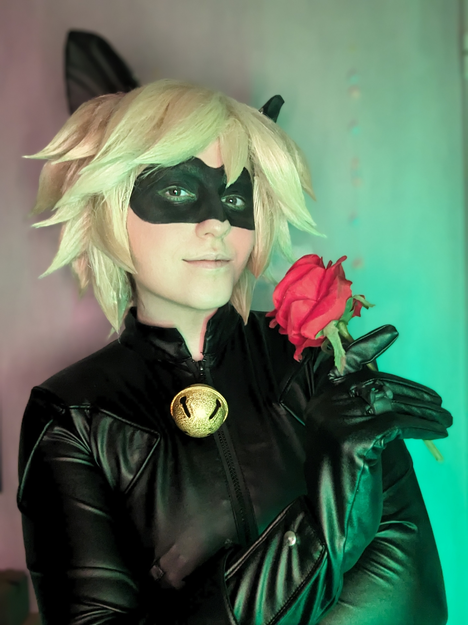 Chat noir — photo 7