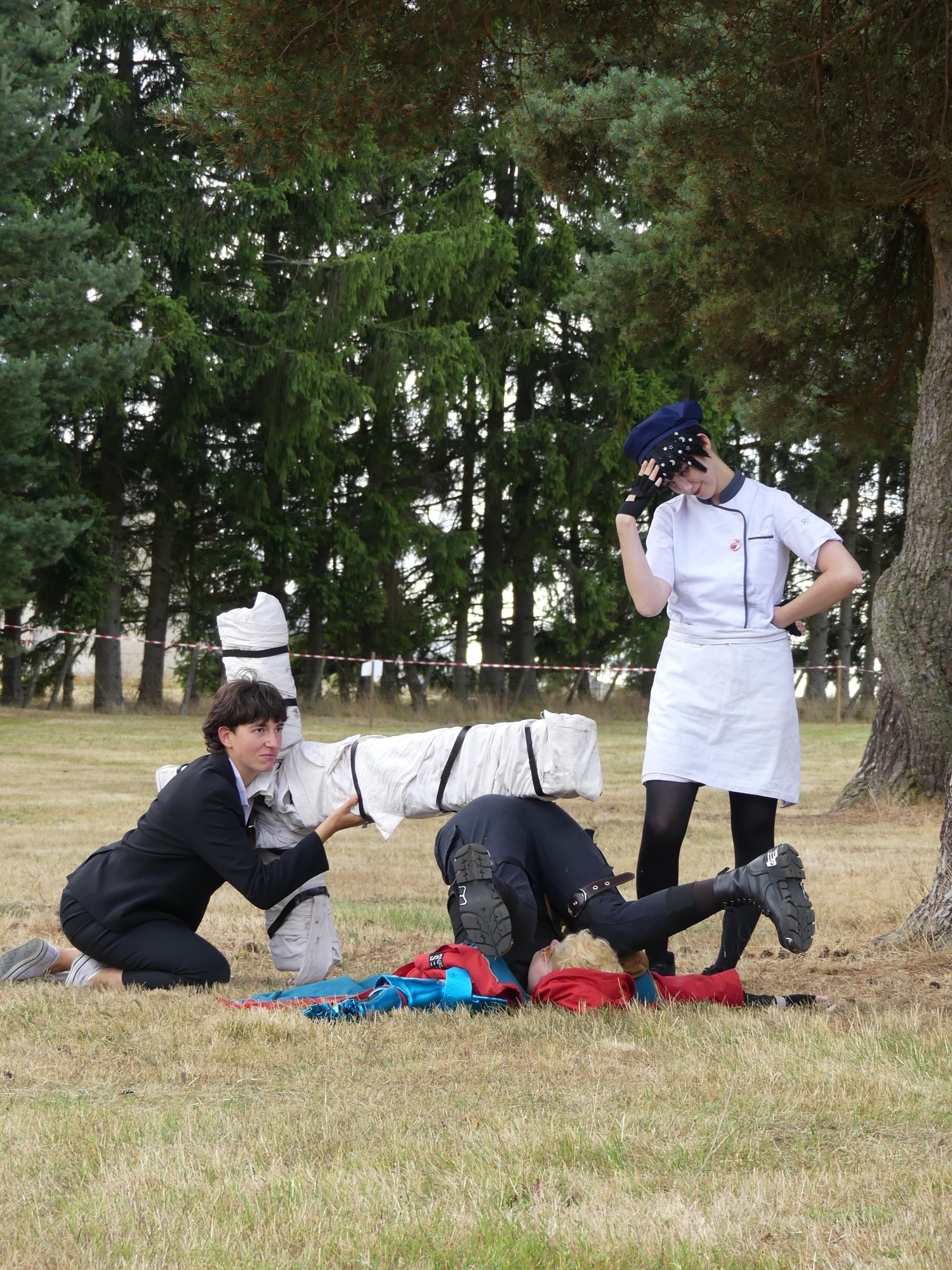 Gevaudan pop culture - Photo 14