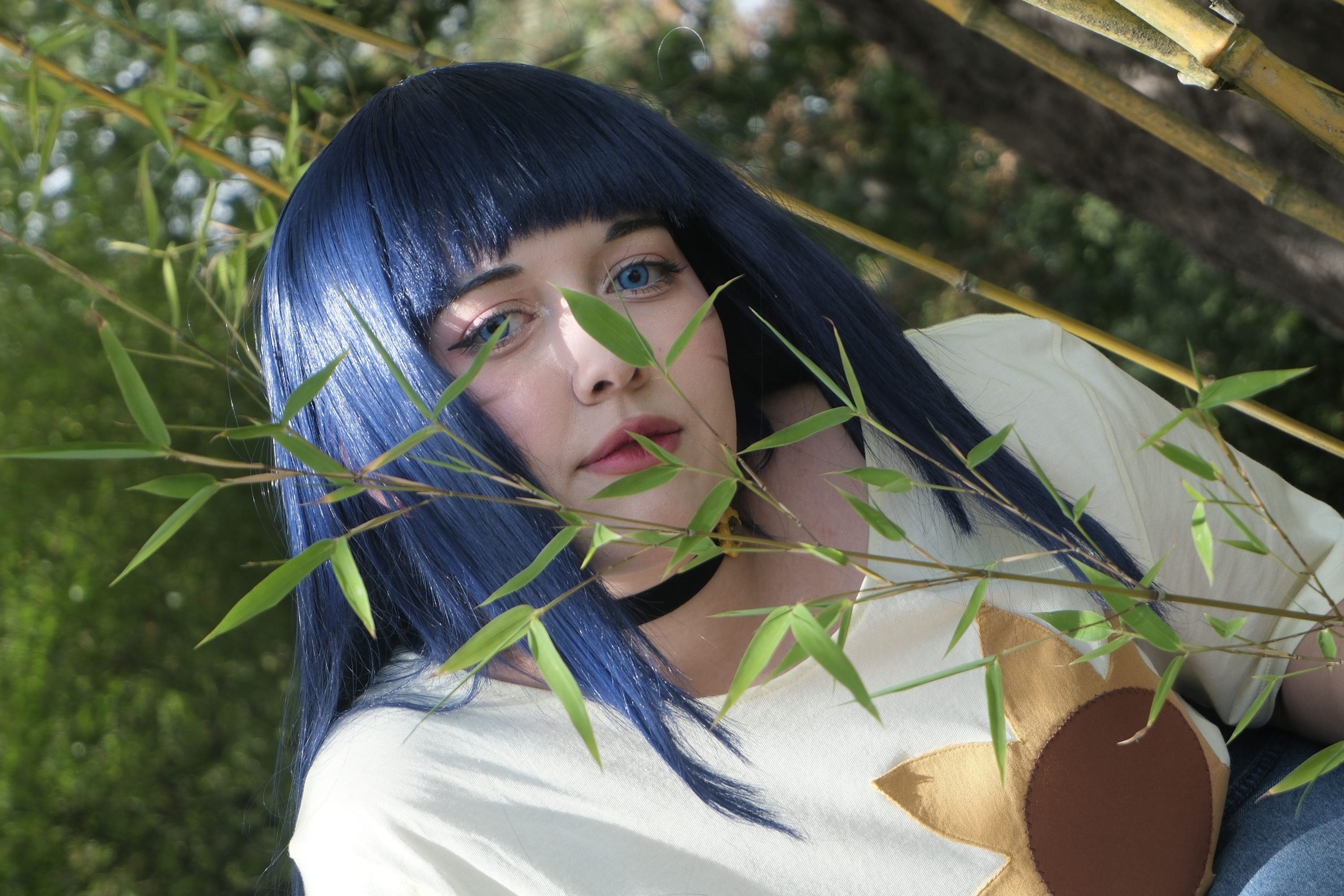 Himawari  - Photo 38