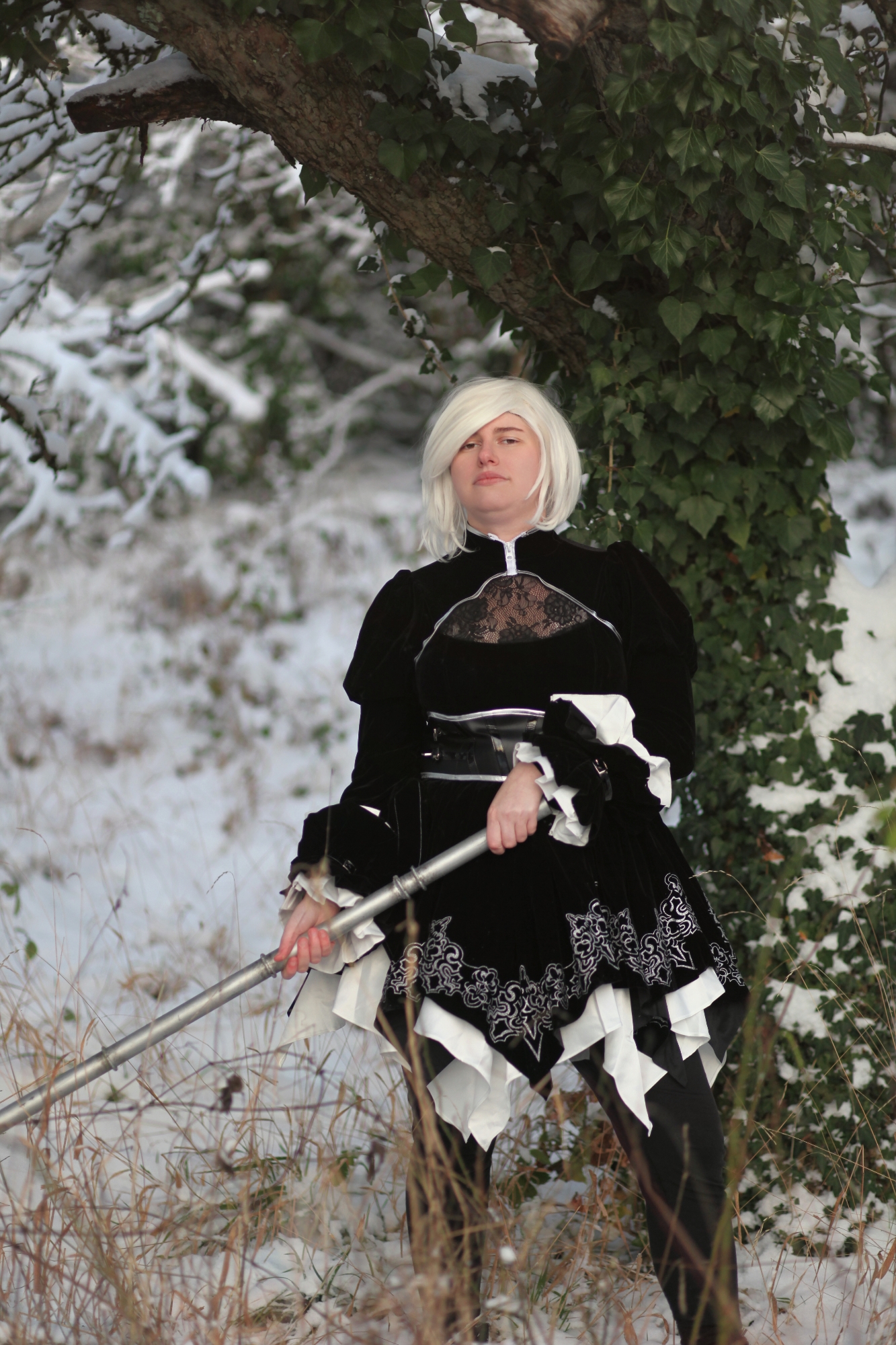 2B dans la neige - Photo 3