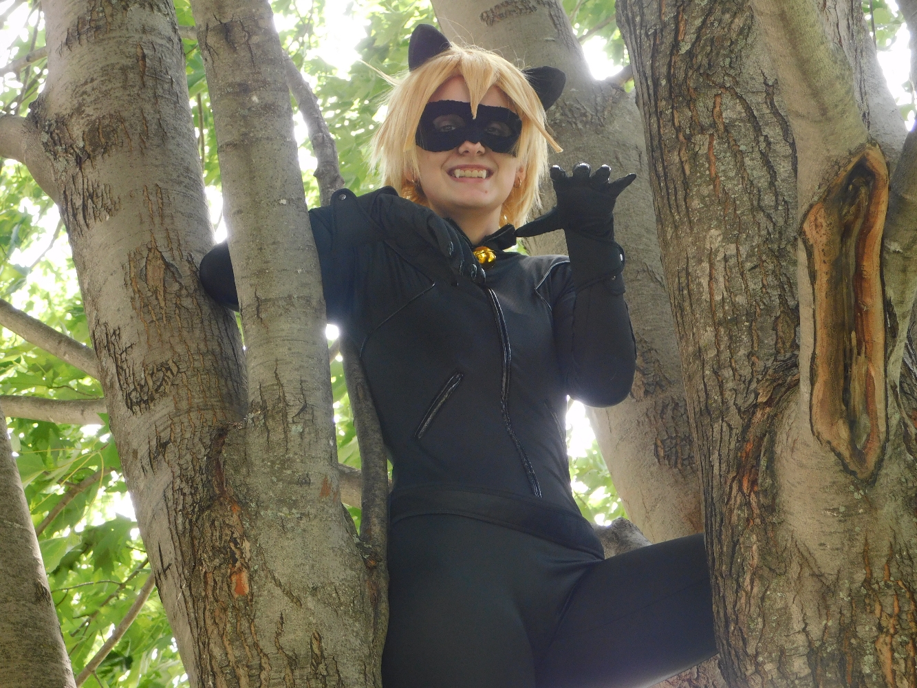 Chat Noir — photo 28