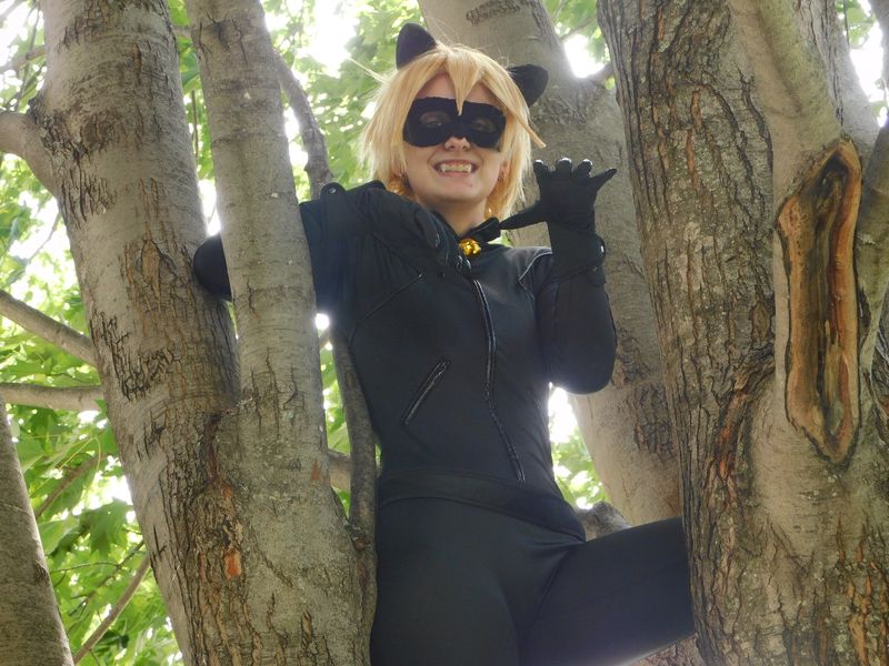 Pangofan - Chat Noir