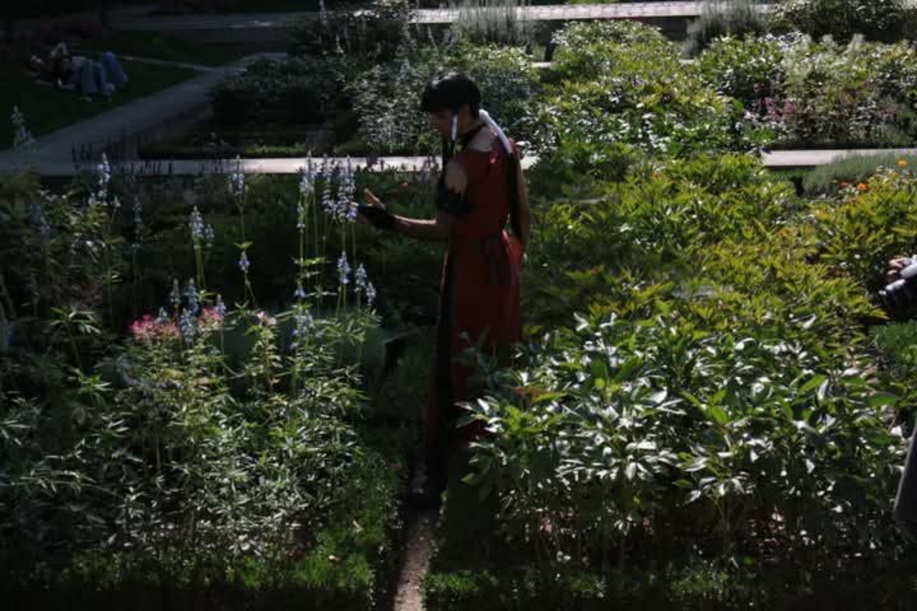 Kazuki fuchoin — photo 5