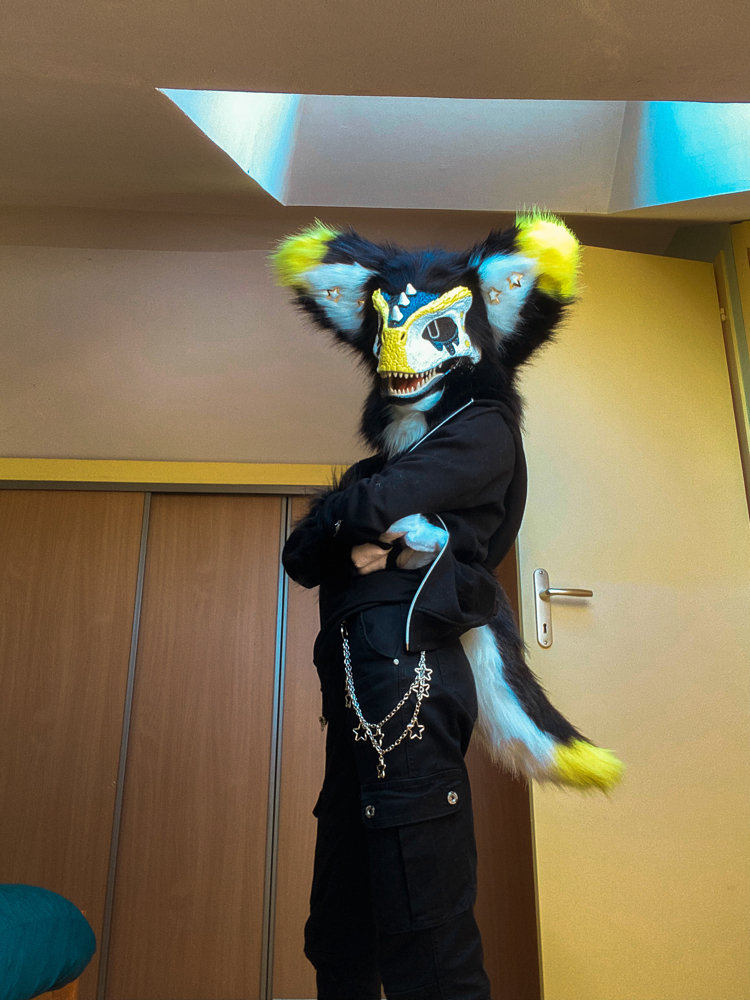 Photos Félix - Photo 4