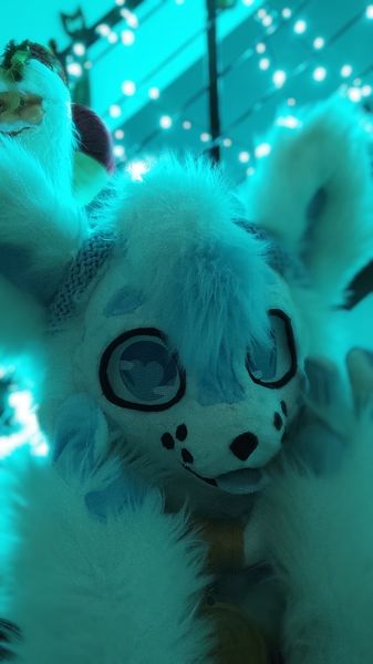 Shysako.fur - Kaito