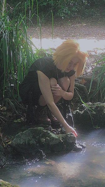 Willy_le_kiwi - Denki