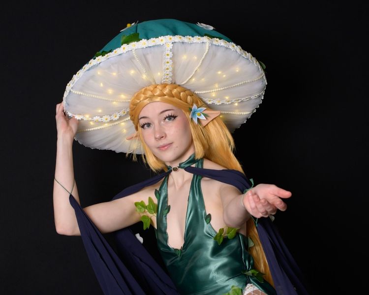 Claritysea - Zelda korogu