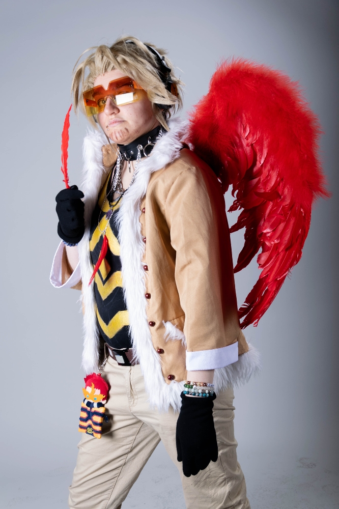 Hawks — photo 17