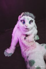 Fluffy preview 2