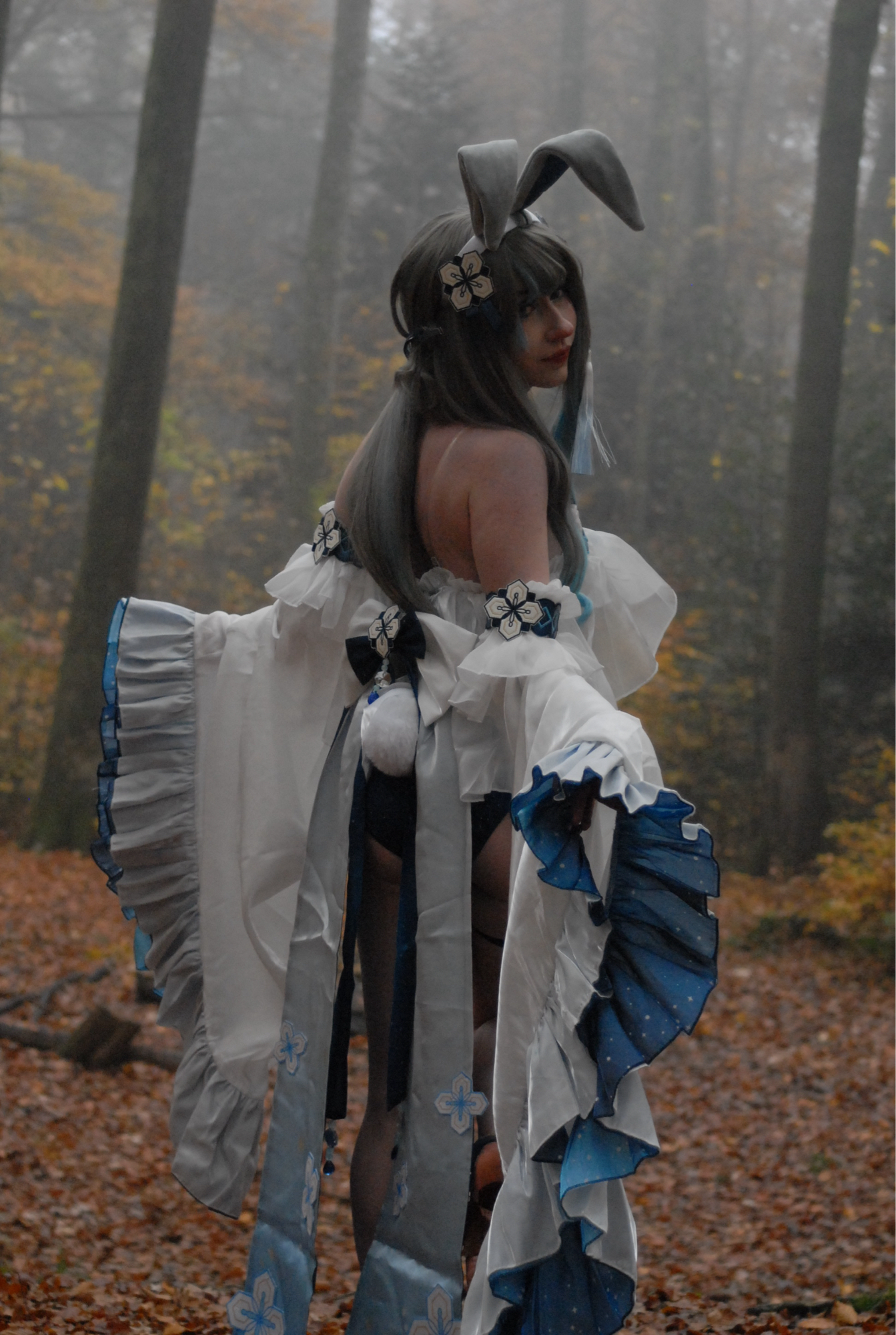 Guizhong Bunny - Photo 3