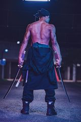 Zoro preview 3