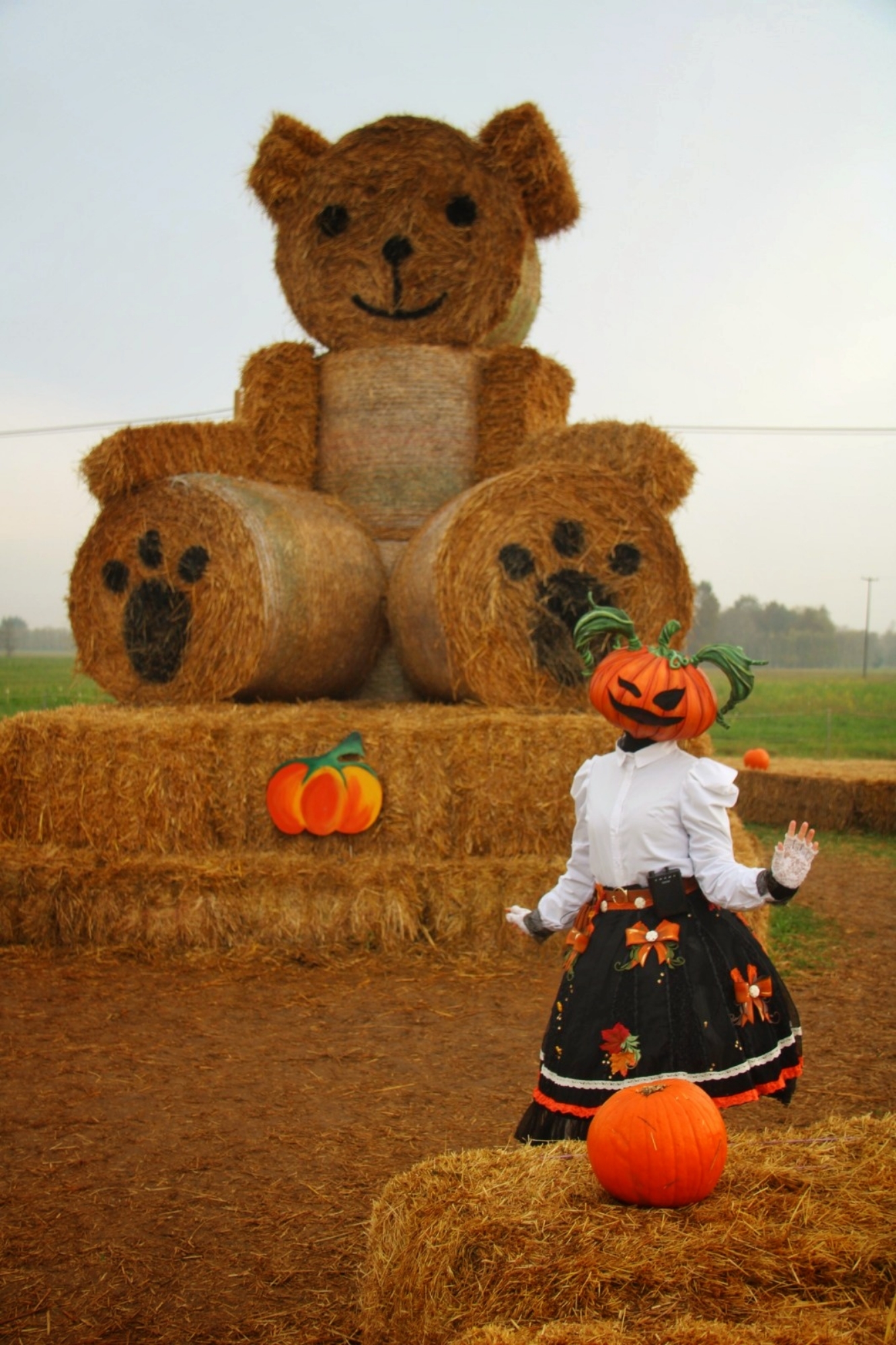 Lady Pumpkin  - Photo 3