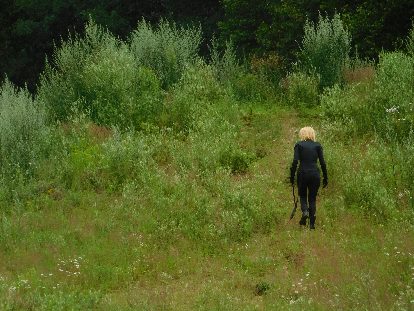 Chat Noir — photo 30