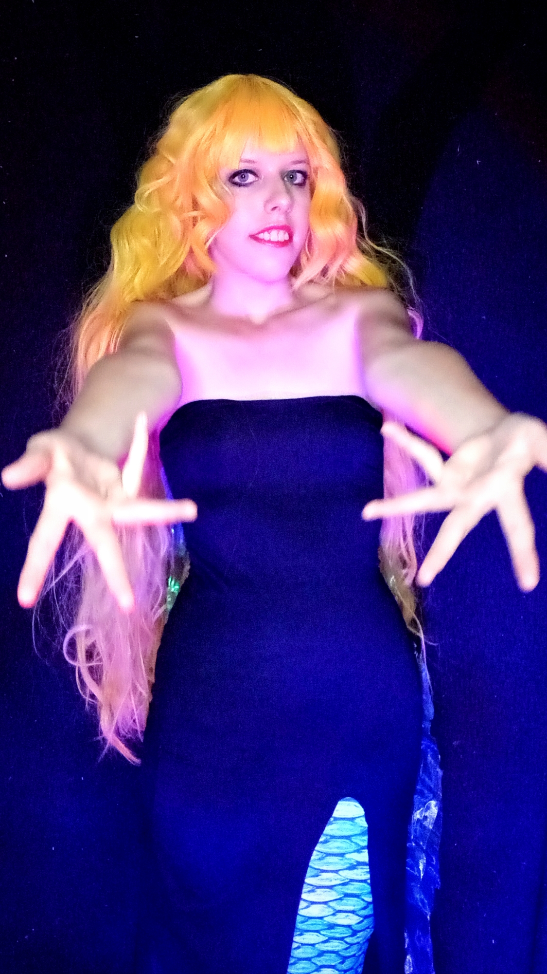 Angel Fish  - Photo 5