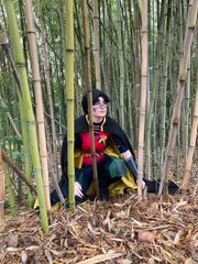 Robin 3 preview 2