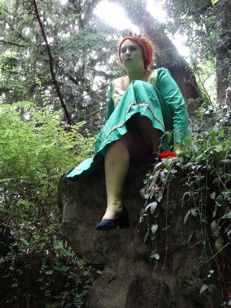Morgane_arcaera_ - Fiona (shrek)