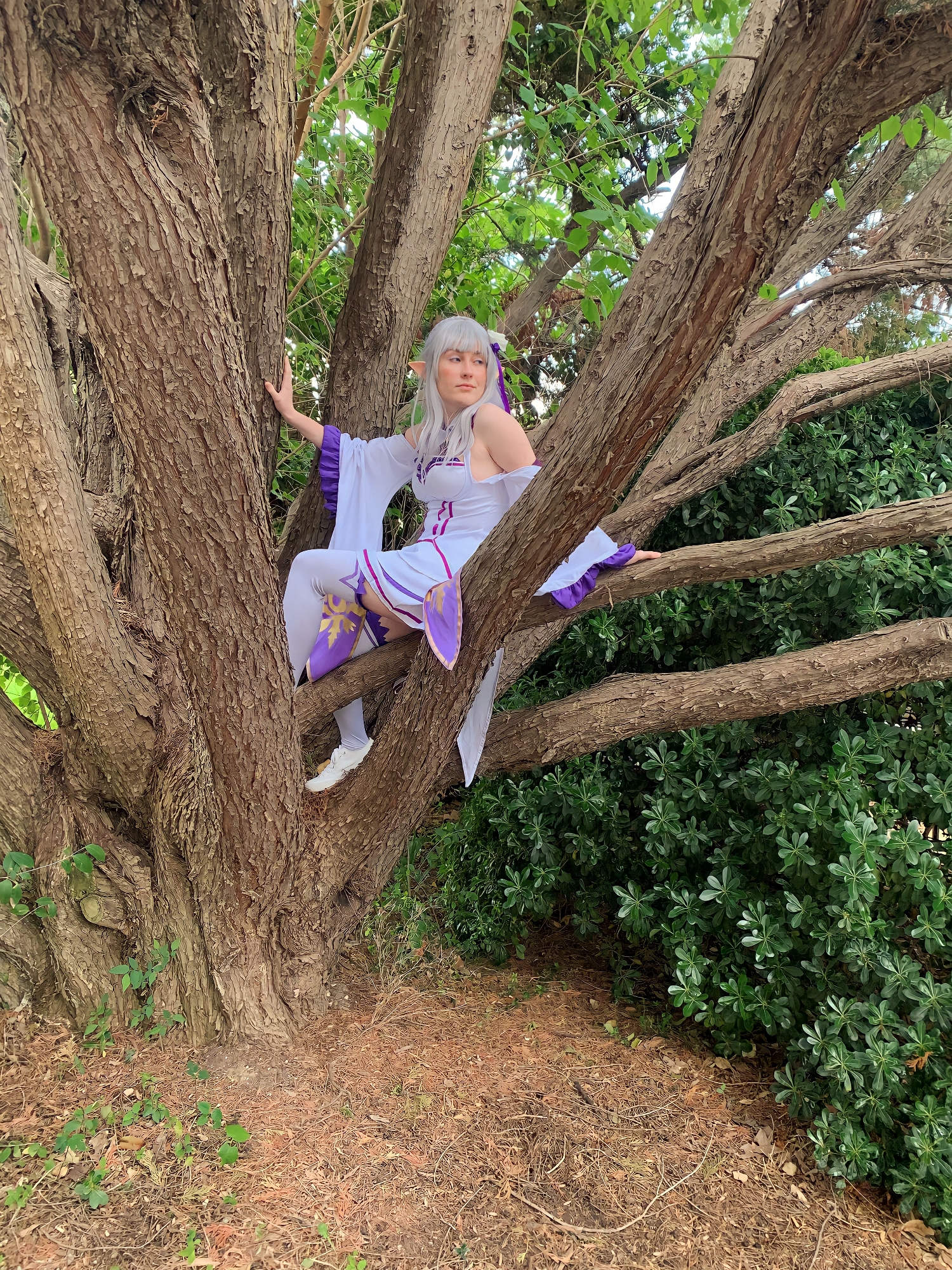 Emilia — photo 6