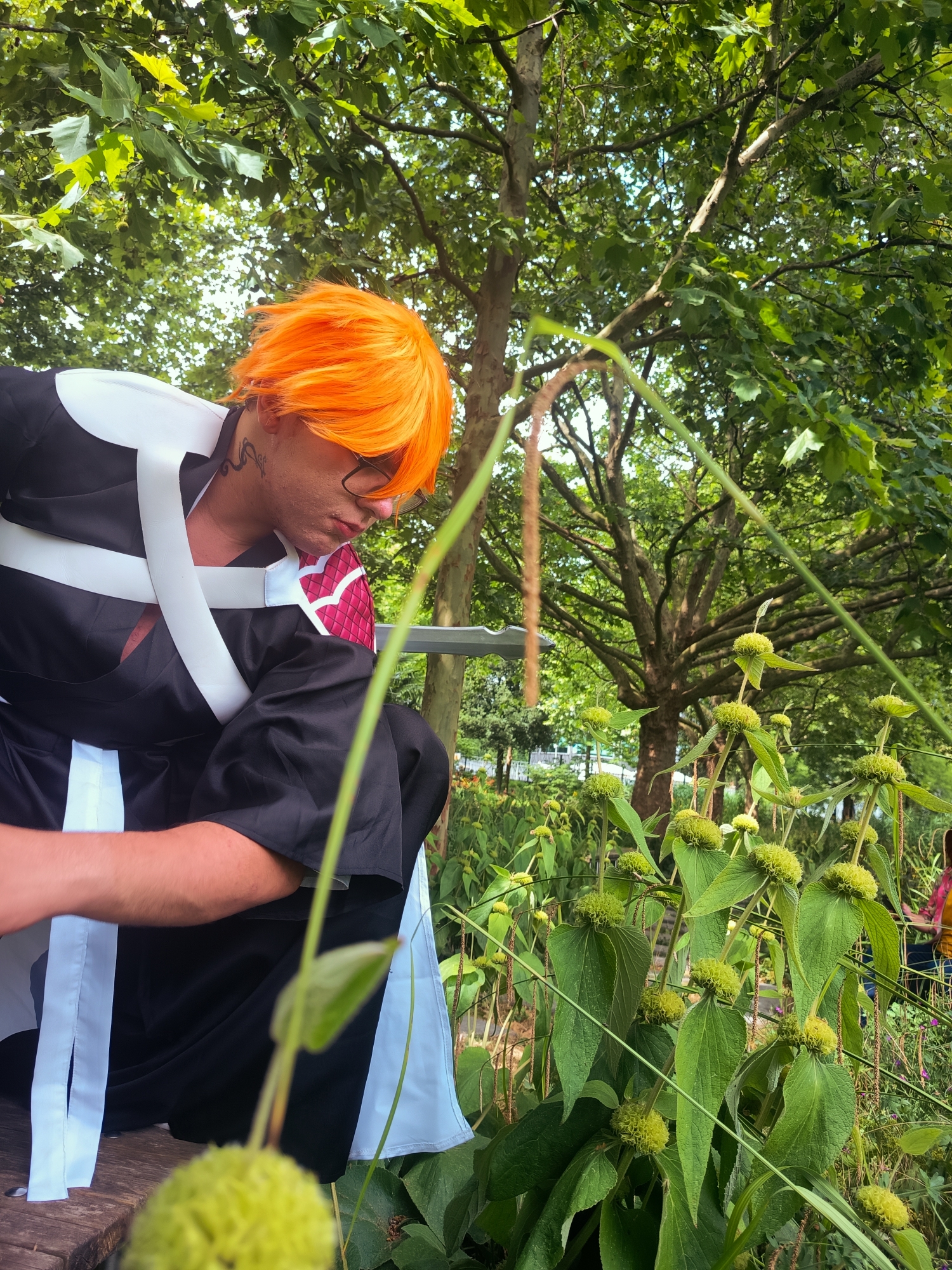 Ichigo — photo 9