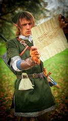 Link in the forest preview 3