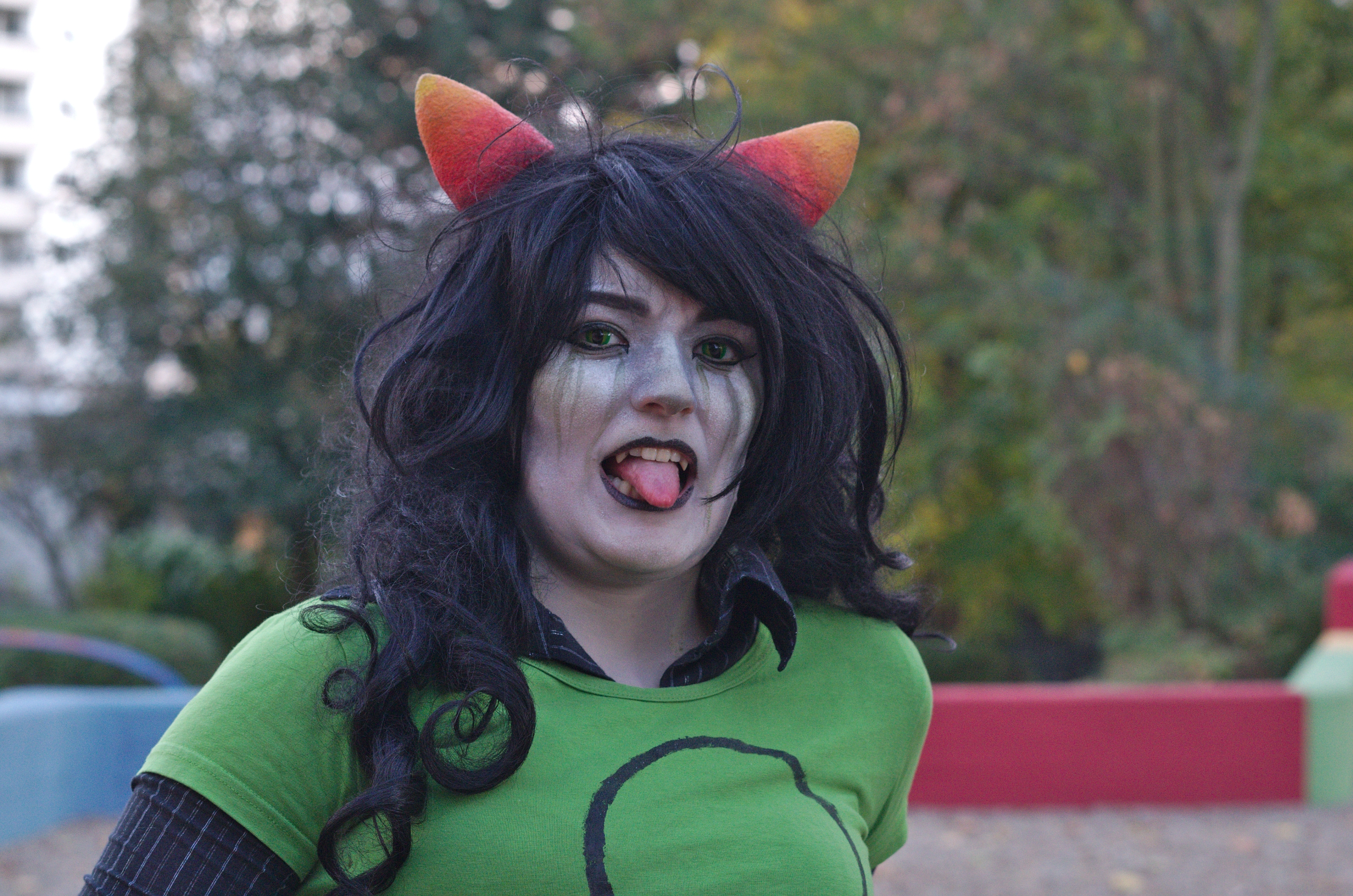 Meulin Leijon - Photo 13