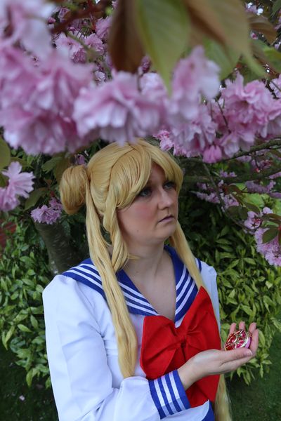 Amy-sama - Usagi Tsukino 
