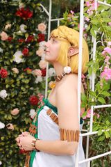 Zelda preview 3