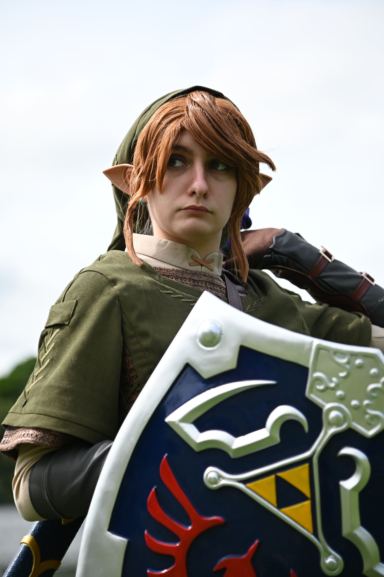 Link — photo 10