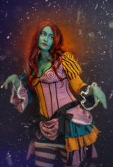 Sally historique preview 2