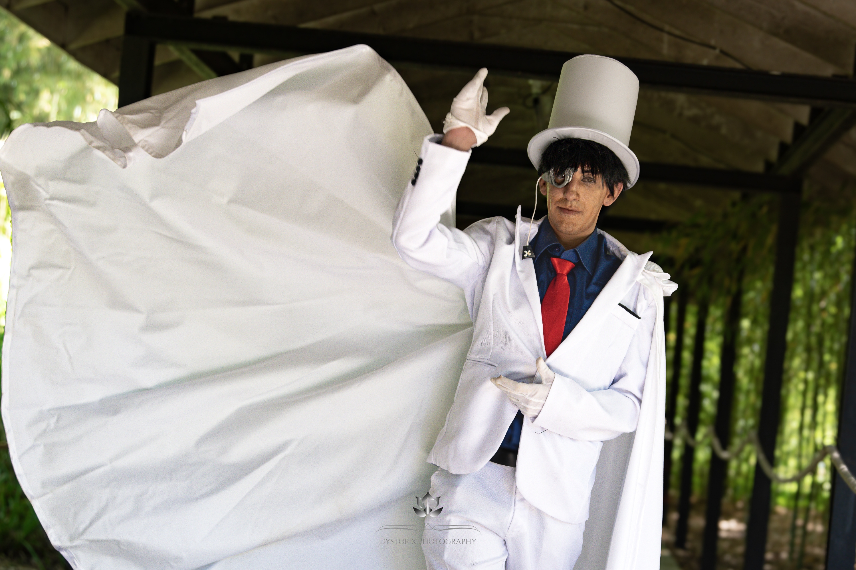 Kaito kid — photo 11