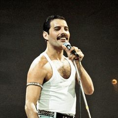 Freddie Mercury preview 2