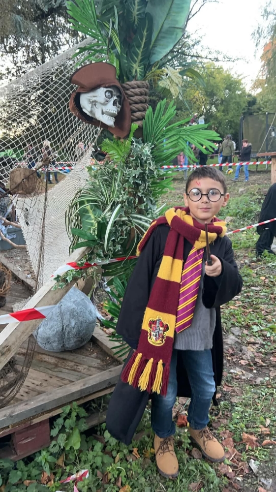 Harry potter  - Photo 12