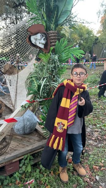 Harry_addams - Harry potter 