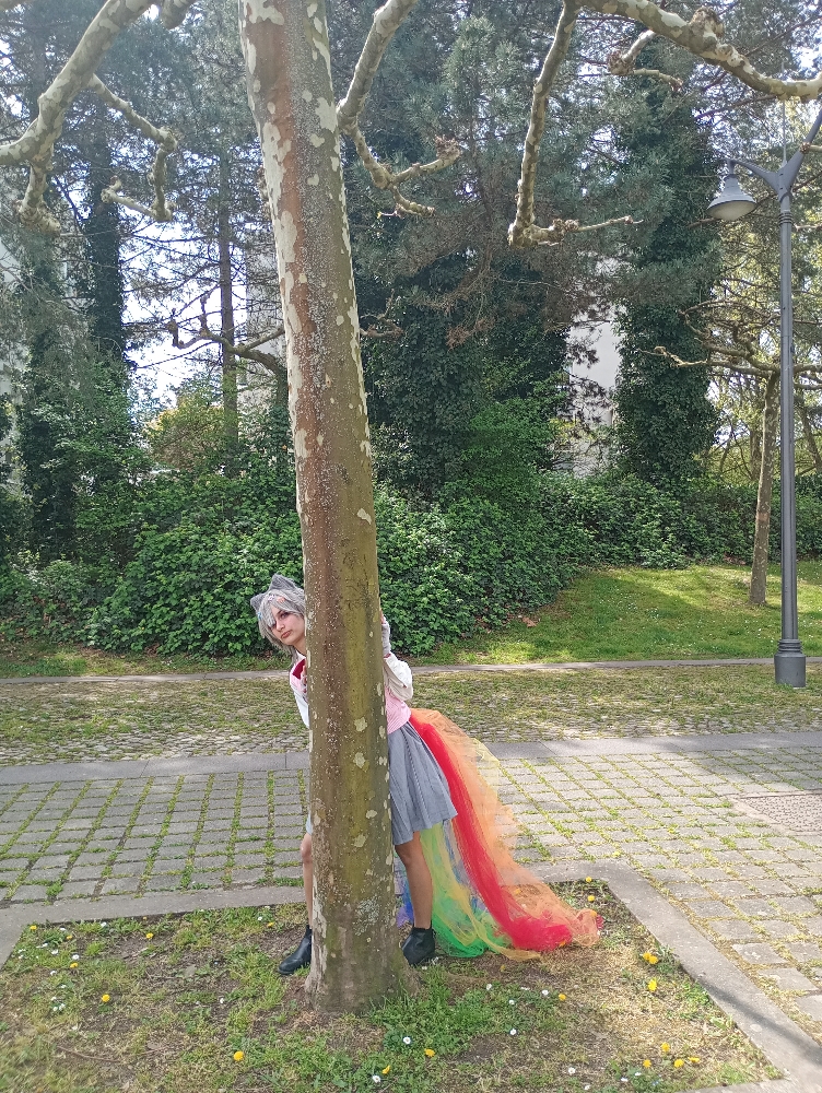 Nyan cat — photo 5
