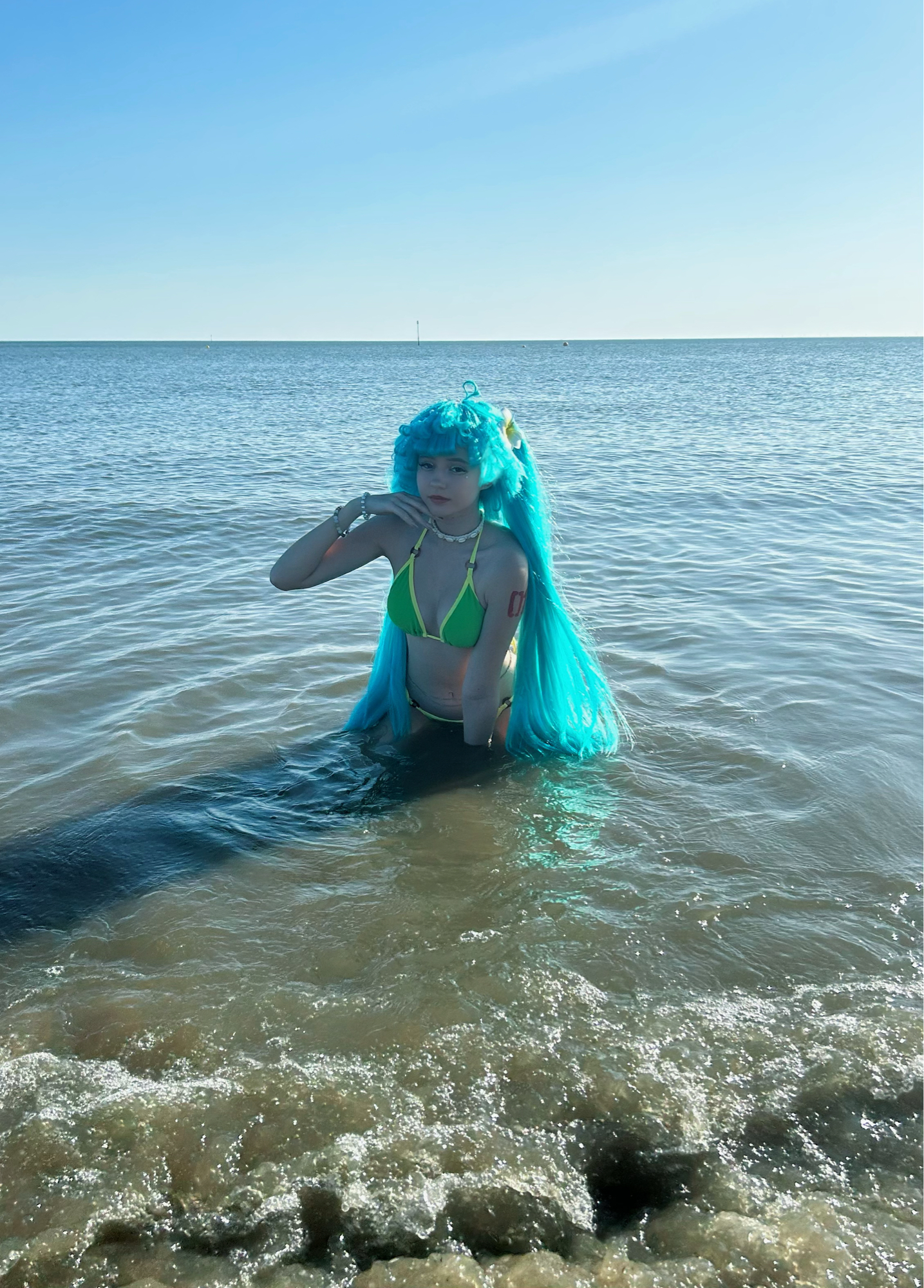 Brazilian Miku — photo 9