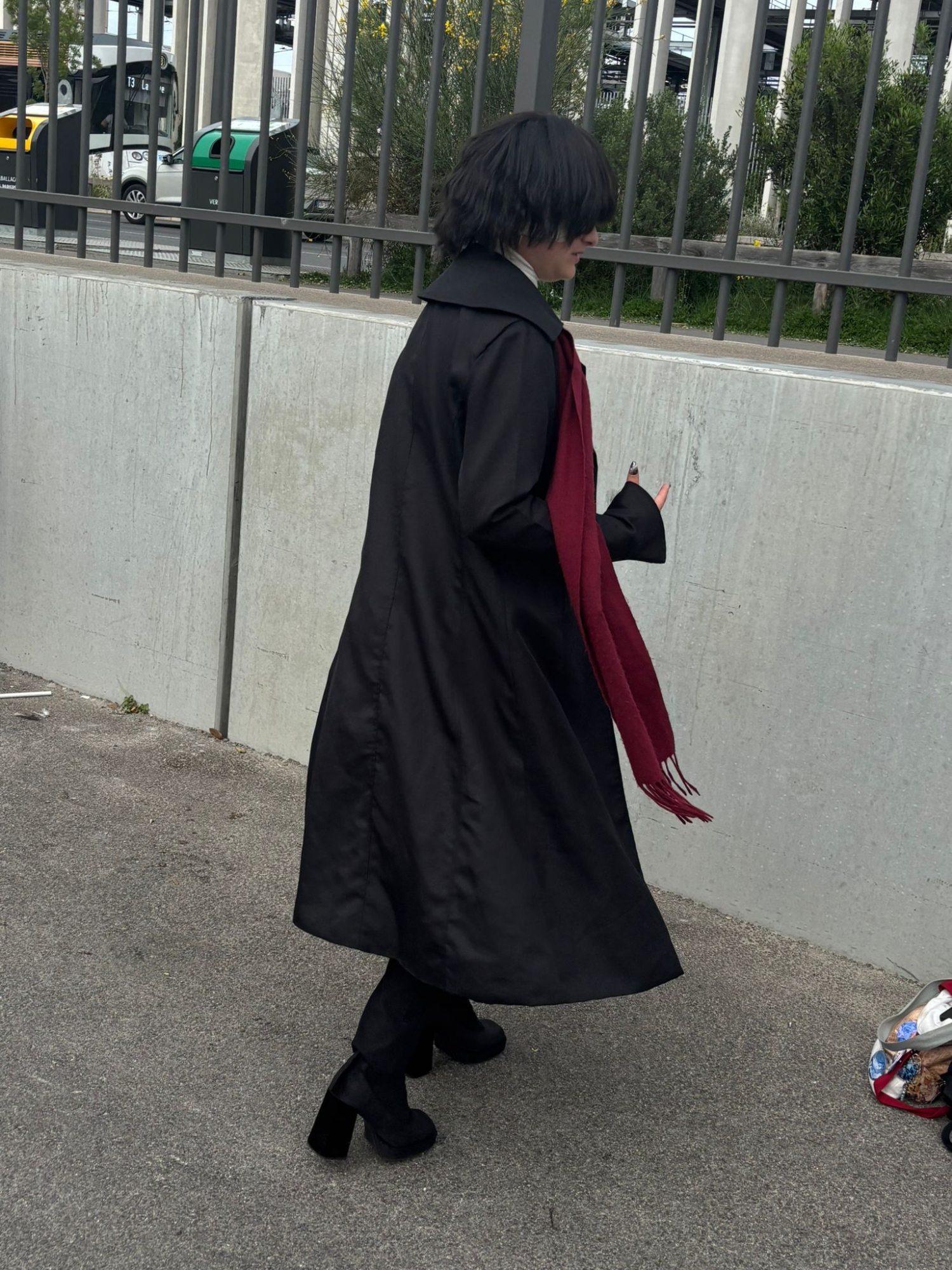 Beast Osamu dazai — photo 20