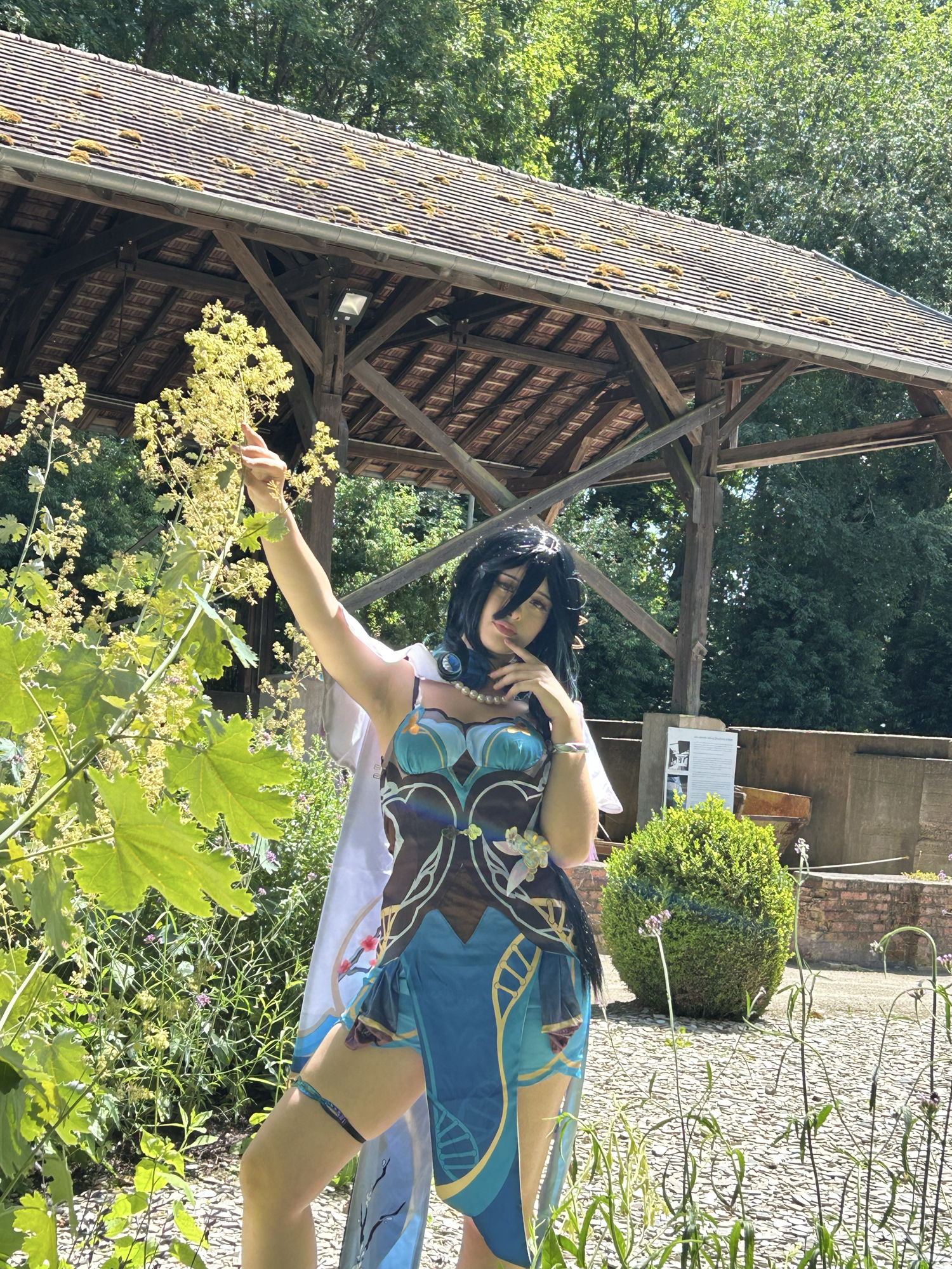 Ruan mei — photo 12
