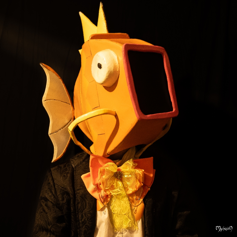 Lordgicarpe de nuit - Photo 4