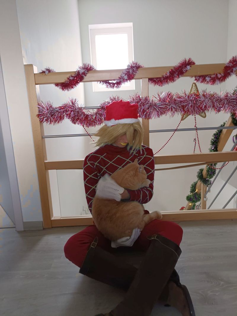 Requiemcos – Diego Brando Noël