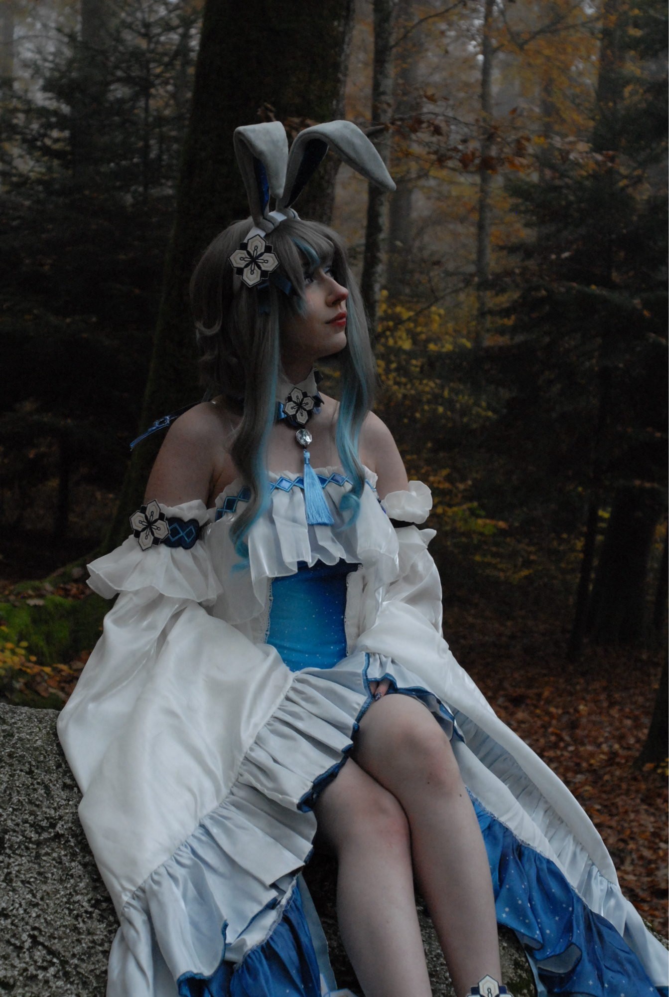 Guizhong Bunny - Photo 19