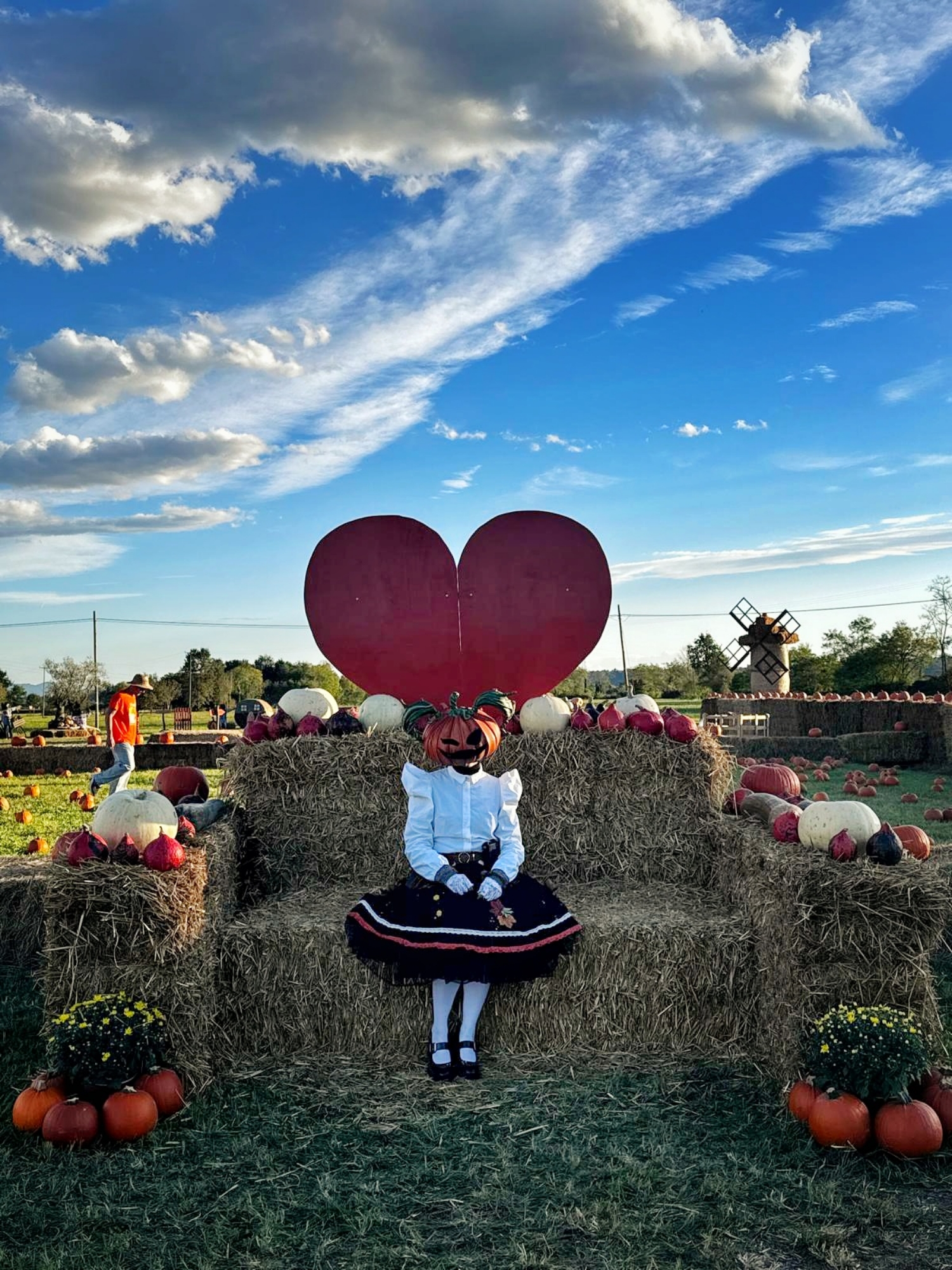 Lady Pumpkin  - Photo 4