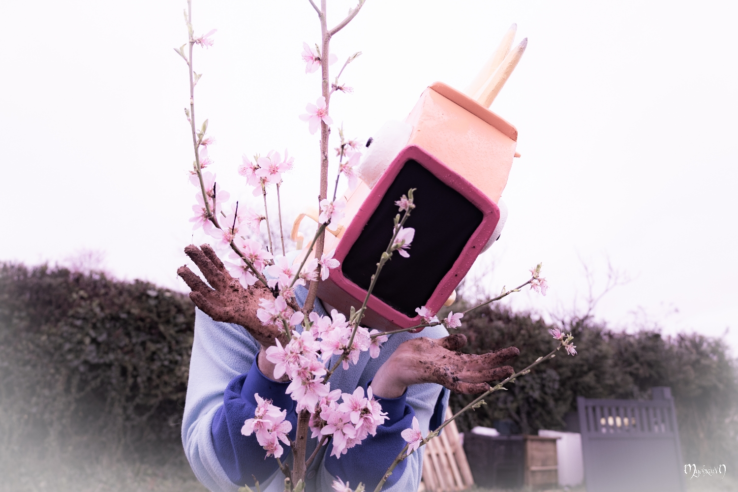 La plantation  - Photo 2