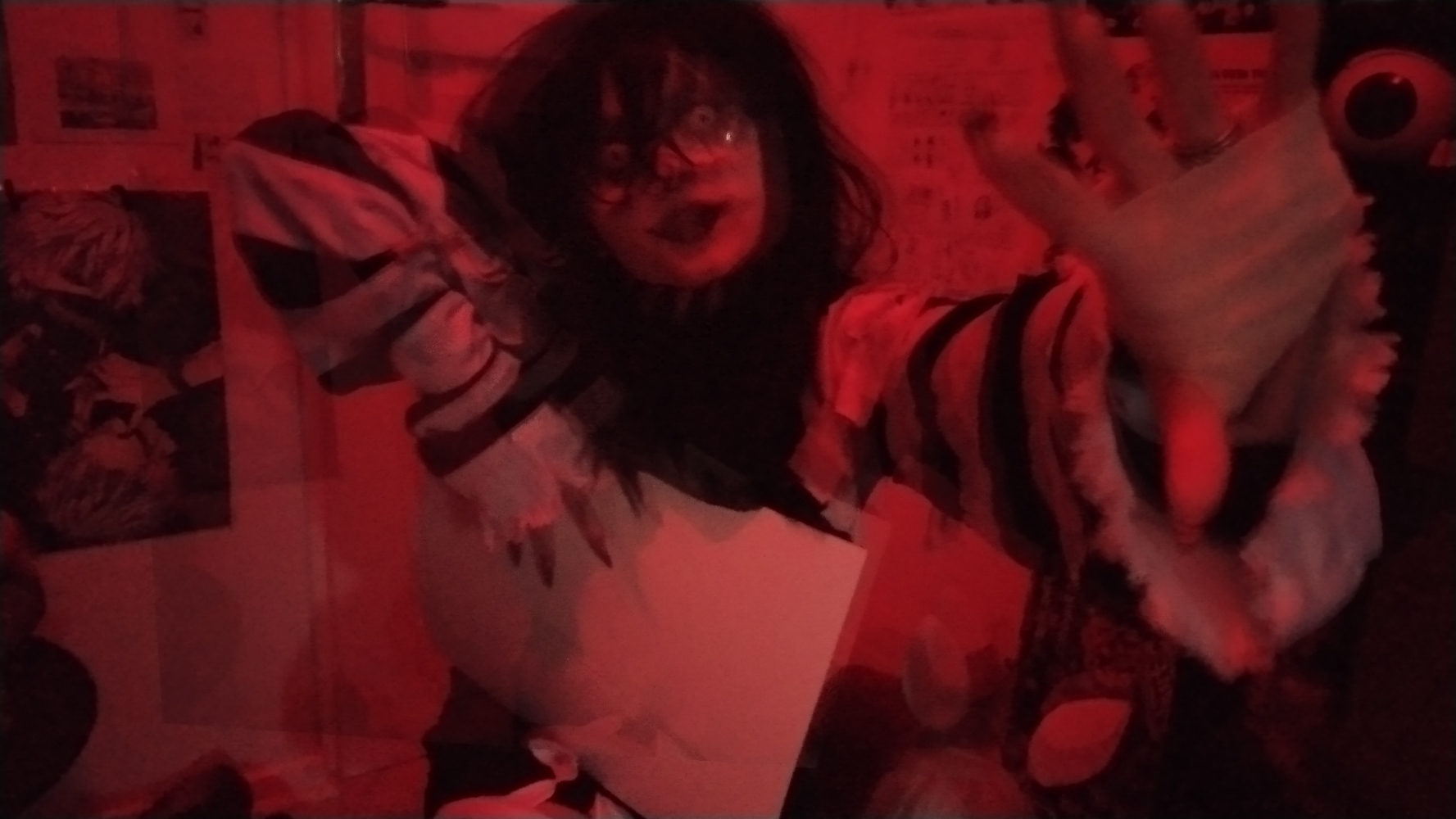 Laughing jack  - Photo 5