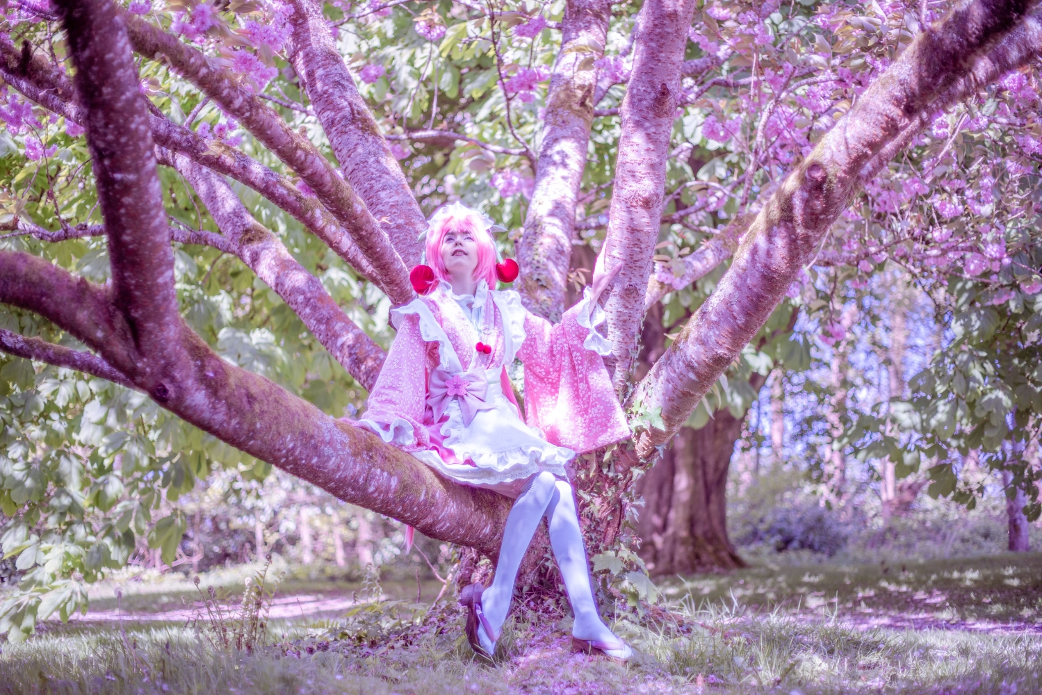 Sakura Miku -Hanami- — photo 5