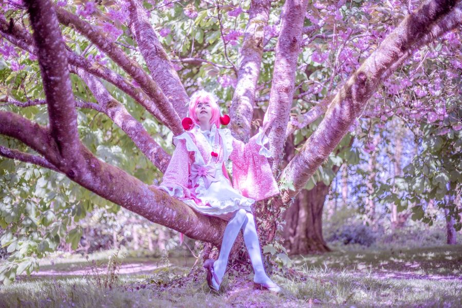 Himea_ - Sakura Miku -Hanami-