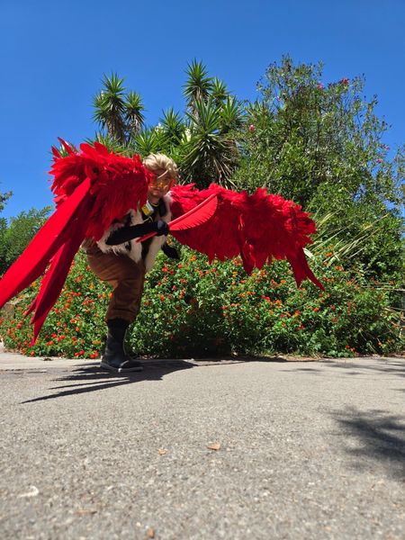 Marie_co - Hawks 