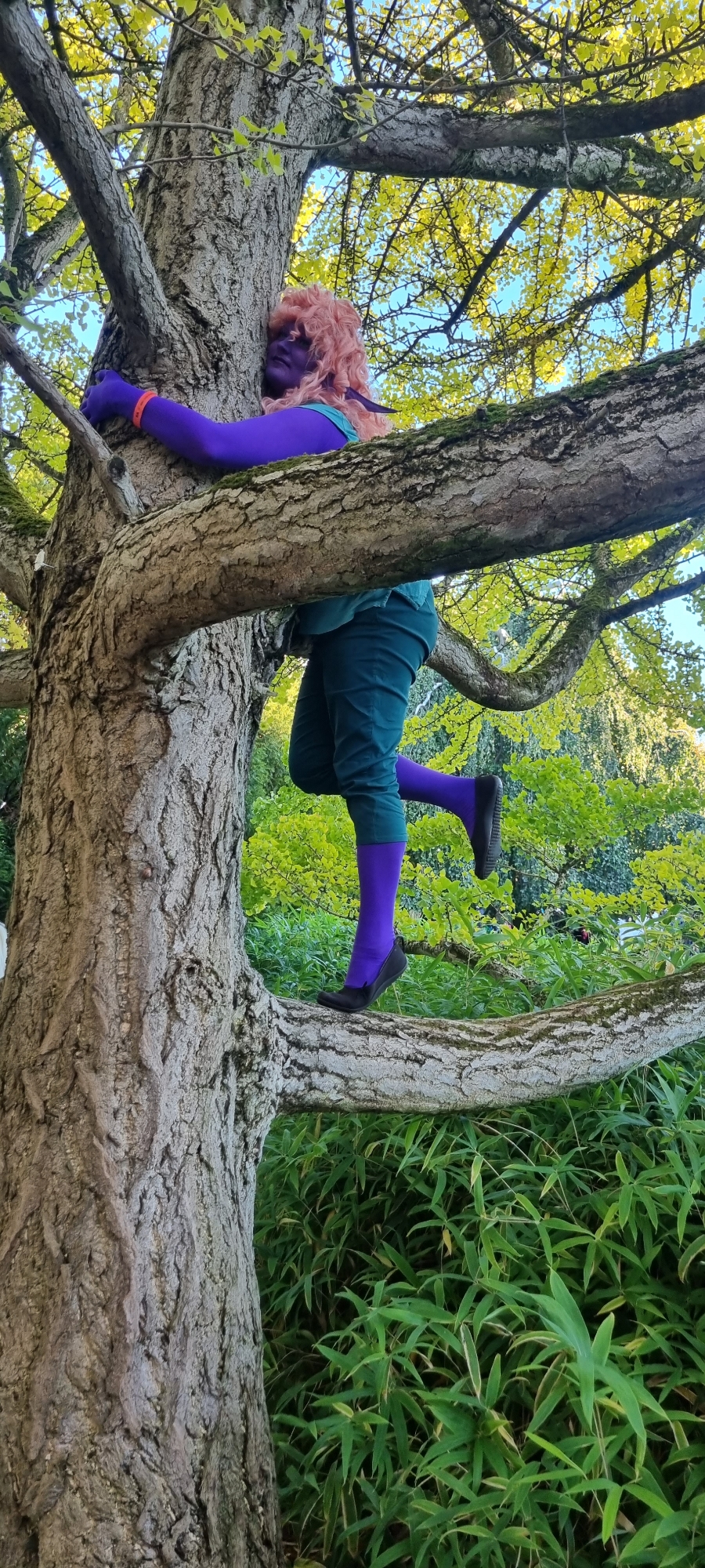 Alinua — photo 5
