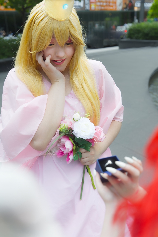 Bowser et Peach - Photo 1