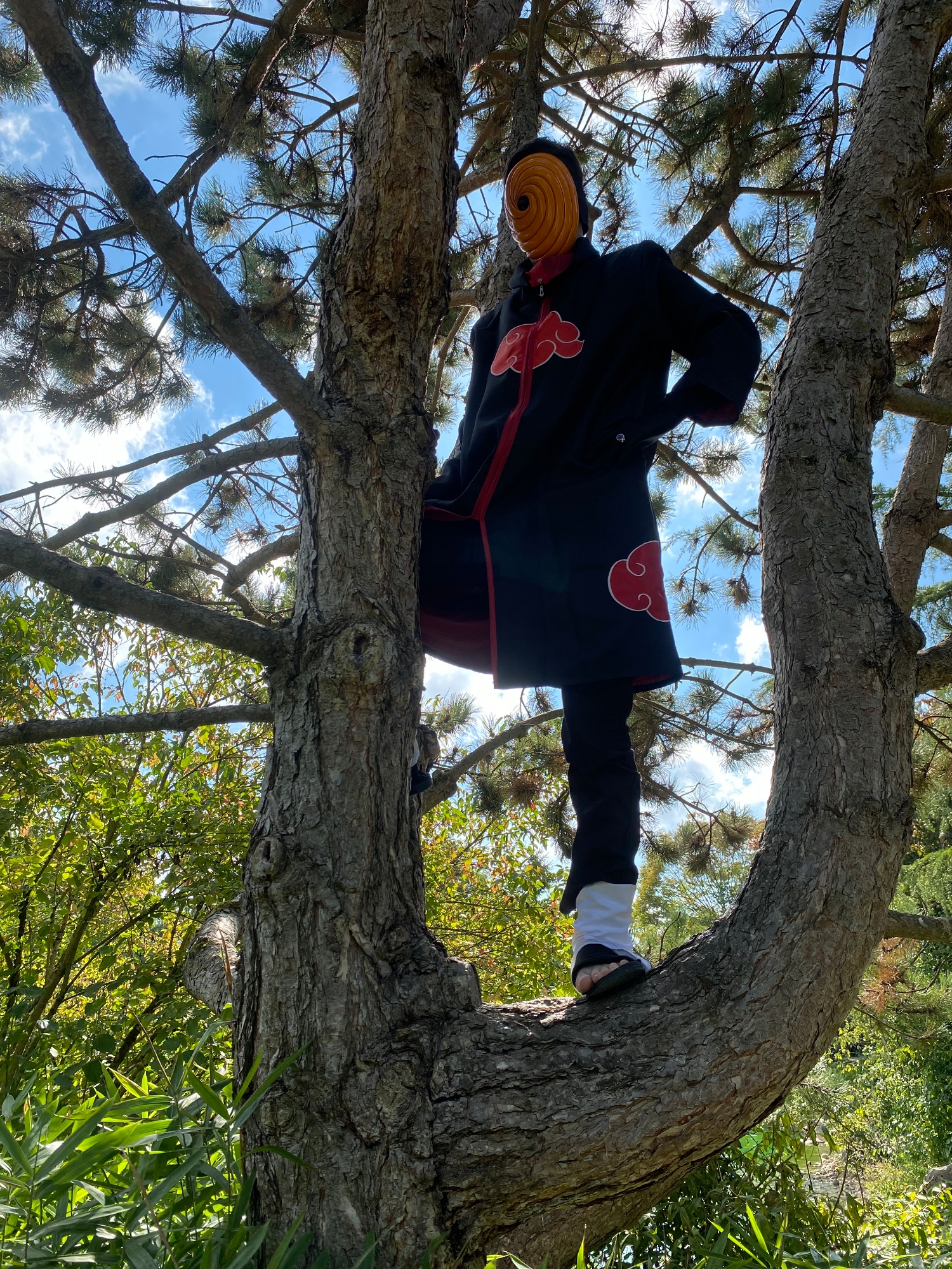 Tobi — photo 36