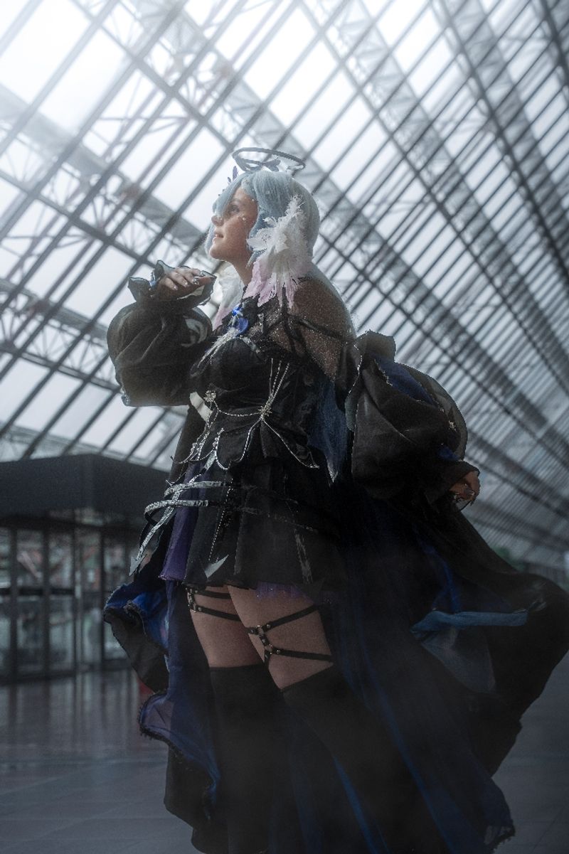 Nevada – Robin japex 2025