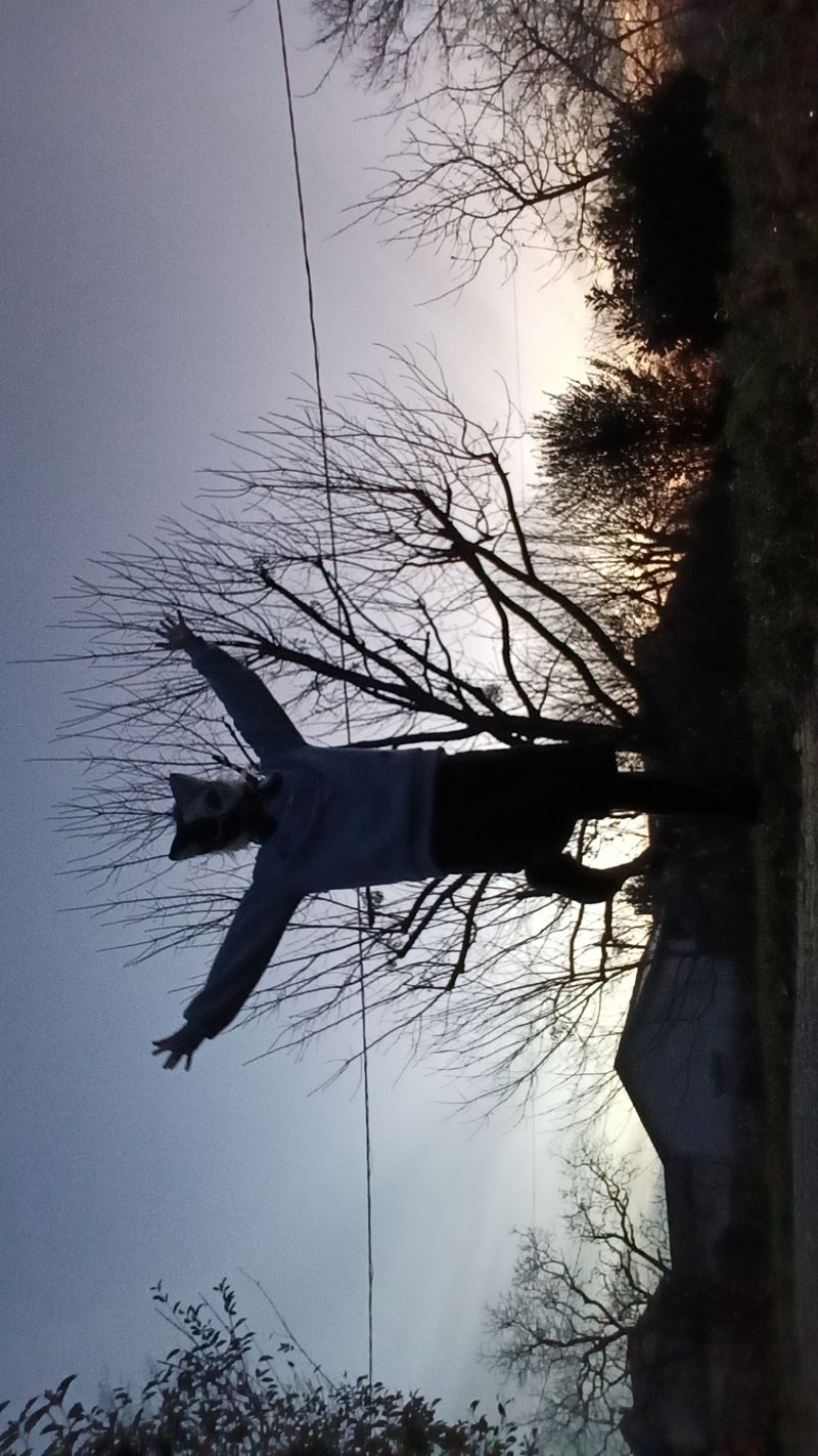 Ezekielcos – Therian